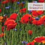 Deepest Sympathy - Greetings Card (1 Corinthians 2:9)