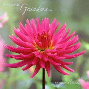 Birthday Card - Grandma