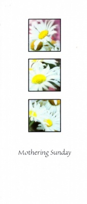 Mother's Day Card (White Daisy)