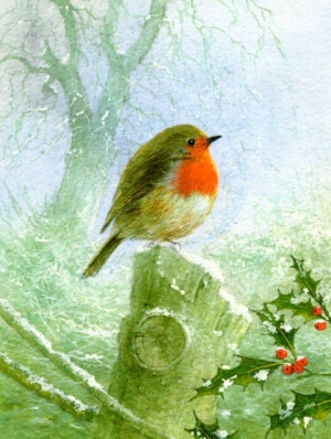 Robin & Holly Christmas Cards - Pack of 10
