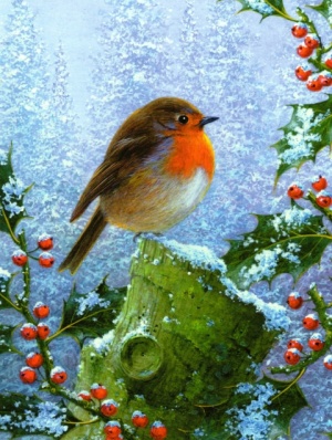 Winter Robin Christmas Cards - Pack of 10