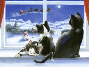 Cats on Christmas Eve Christmas Cards - Pack of 10