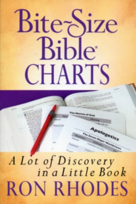 Bite-Size Bible Charts