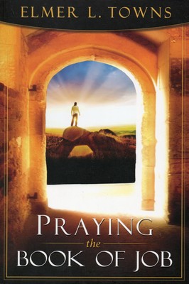 Praying The Book Of Job