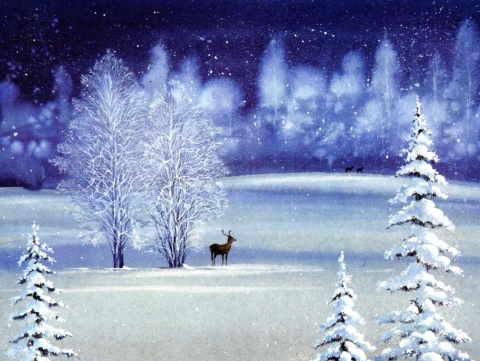 Snow christmas cards Clearance
