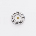 Mustard Seed/All Things are Possible Lapel Pin