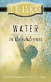 Water In The Wilderness