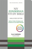 NIV Zondervan British Text Study Bible