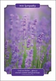 Sympathy Card - Purple Wildflowers