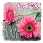 Happy Birthday - Greetings Card (Pink Daisy)