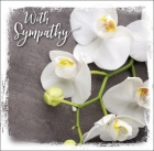 With Sympathy - Greetings Card (Deuteronomy 31:8)