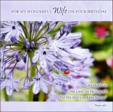 For My Wonderful Wife on Your Birthday - Greetings Card