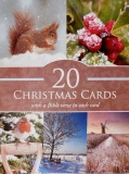 Seasonal Animal Christmas Cards - Box of 20