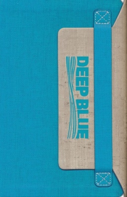 CEV Deep Blue Kids Bible