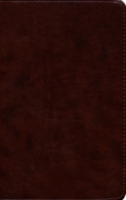 ESV Prayer Bible