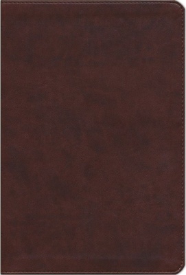 ESV Reference Large Print Thinline Bible