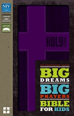 NIV Big Dreams Big Prayers Bible for Kids