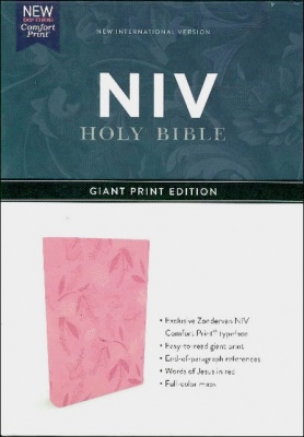 NIV Giant Print End of Paragraph Reference Bible