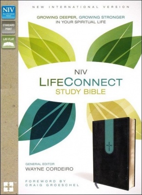 NIV LifeConnect Study Bible