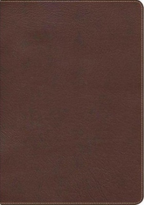 KJV Large Print Ultrathin Reference Bible (Chocolate Colourway)
