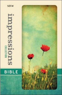 NIV Impressions Bible