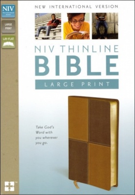 NIV Thinline Large Print Bible