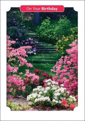 On Your Birthday - Flower Garden Greetings Card