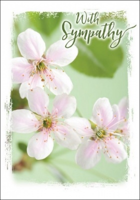 With Sympathy - Greetings Card (2 Thessalonians 2:16)