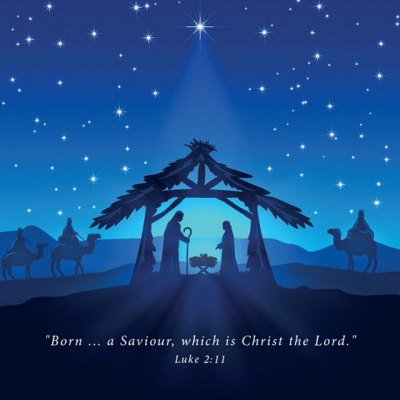 Natitivity Christmas Cards - Box of 18